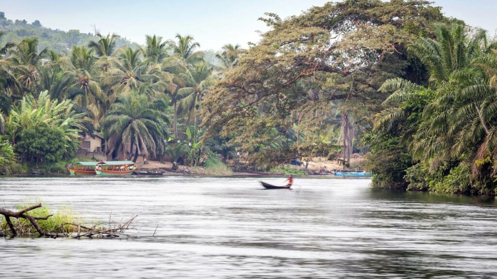 Plantaram árvores perto de um rio e o impossível aconteceu