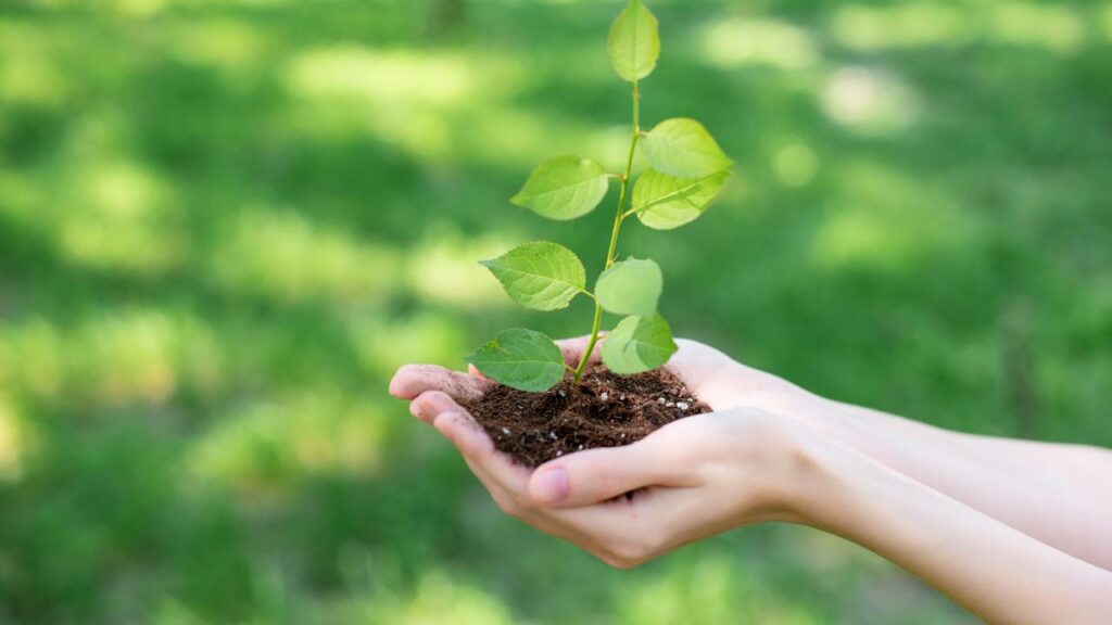 Homem doa terreno de herança para ajudar sua cidade natal