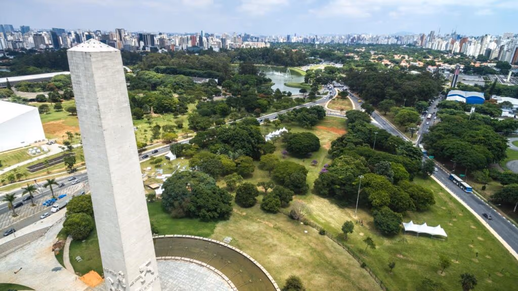 Árvore desaba no Ibirapuera e deixa 3 feridos