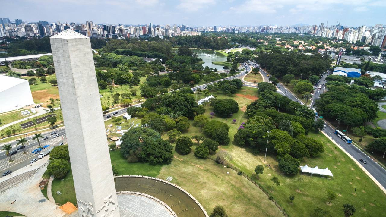 Árvore desaba no Ibirapuera e deixa 3 feridos