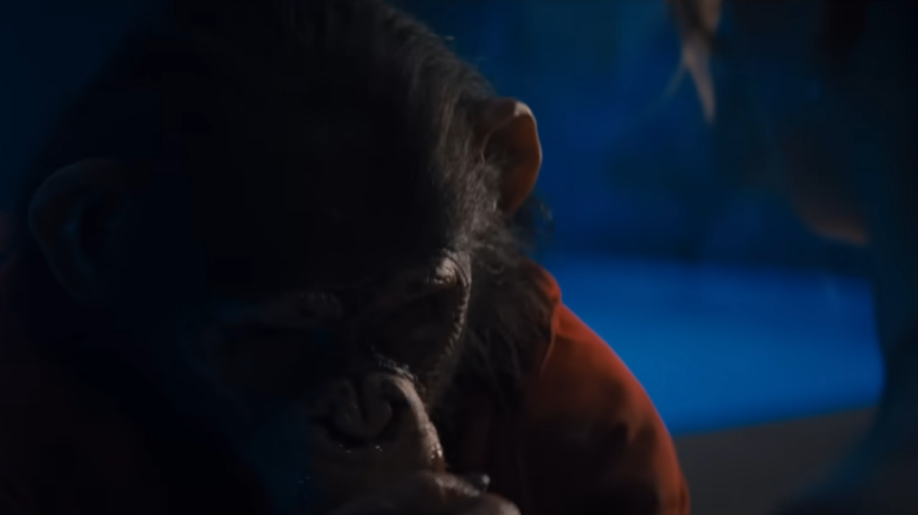 Primate aposta em terror cru, animal fora de controle e trailer intenso chama atenção