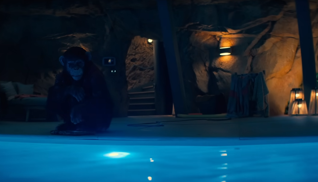 Primate promete terror brutal com uma premissa simples e perturbadora nos cinemas
