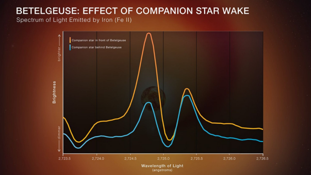 Dados do telescópio Hubble mostram movimentações gravitacionais da pequena companheira de Betelgeuse - NASA, ESA, Elizabeth Wheatley (STScI); Science: Andrea Dupree (CfA)