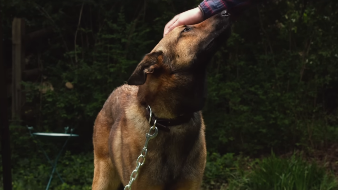 Este filme emocionante voltou à Netflix em 2026 e está conquistando famílias com uma história tocante