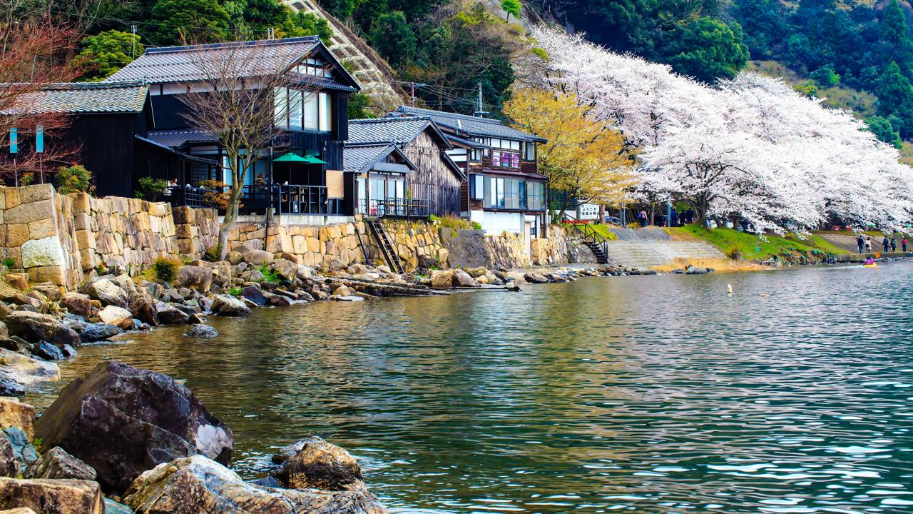 Esse lago de 35 mil litros no quintal do Rio une engenharia, peixes coloridos e iluminação de cinema em um só projeto