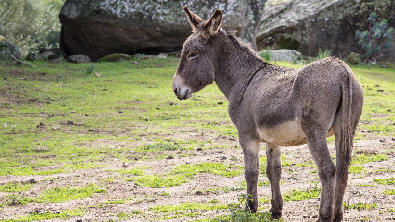 O mercado bilionário escondido que ninguém imagina existir