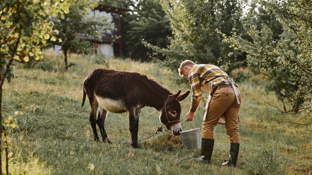O mercado bilionário escondido que ninguém imagina existir