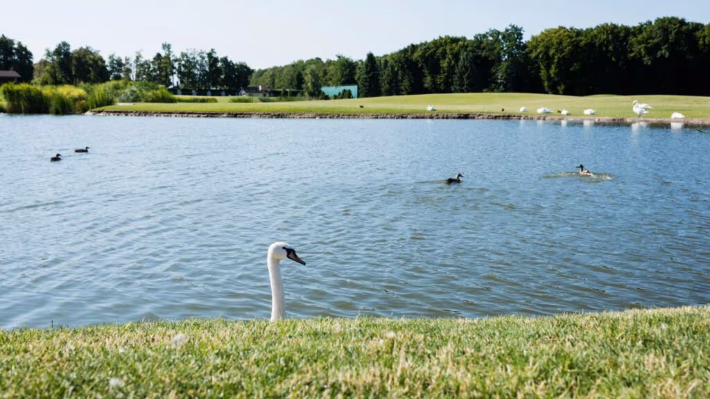 Como construir um lago artificial com apenas 2 mil reais