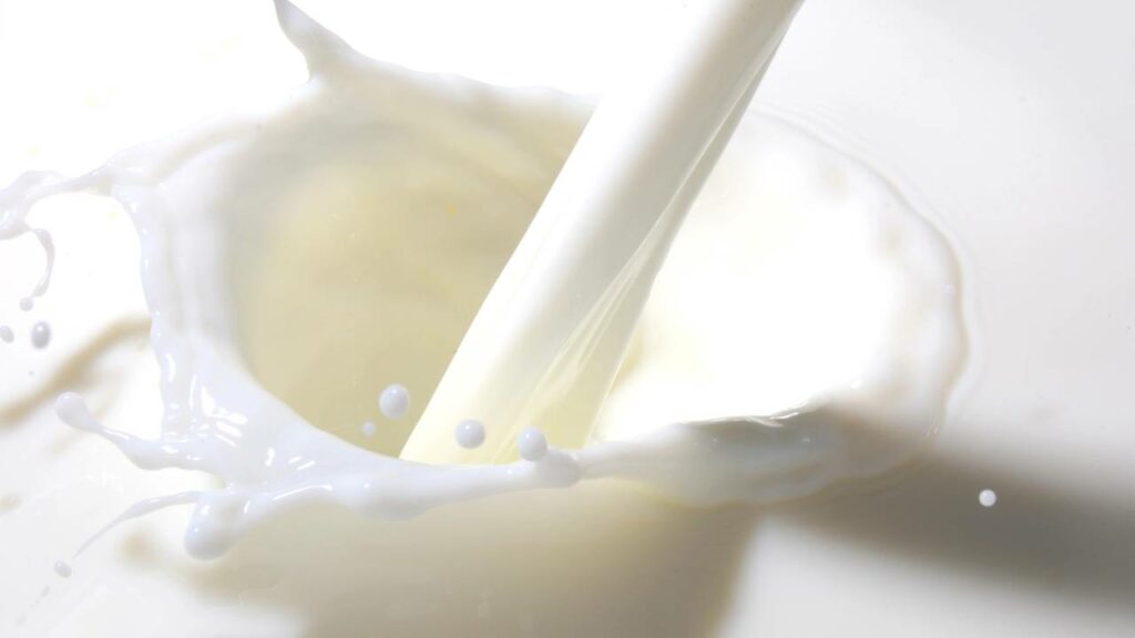 A verdade sobre leite que a indústria não quer que você saiba