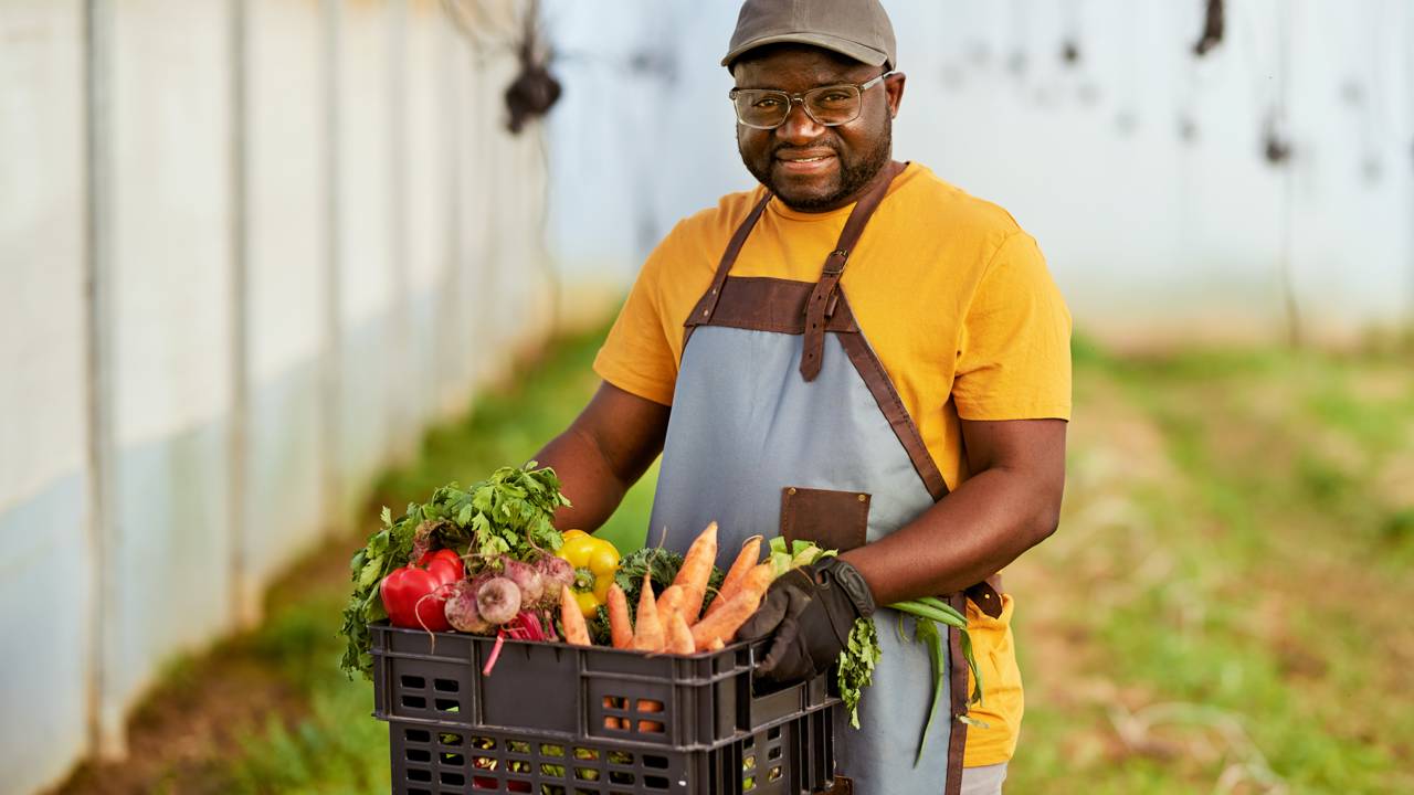 Contribuição do MEI em 2026 sobe com novo salário mínimo
