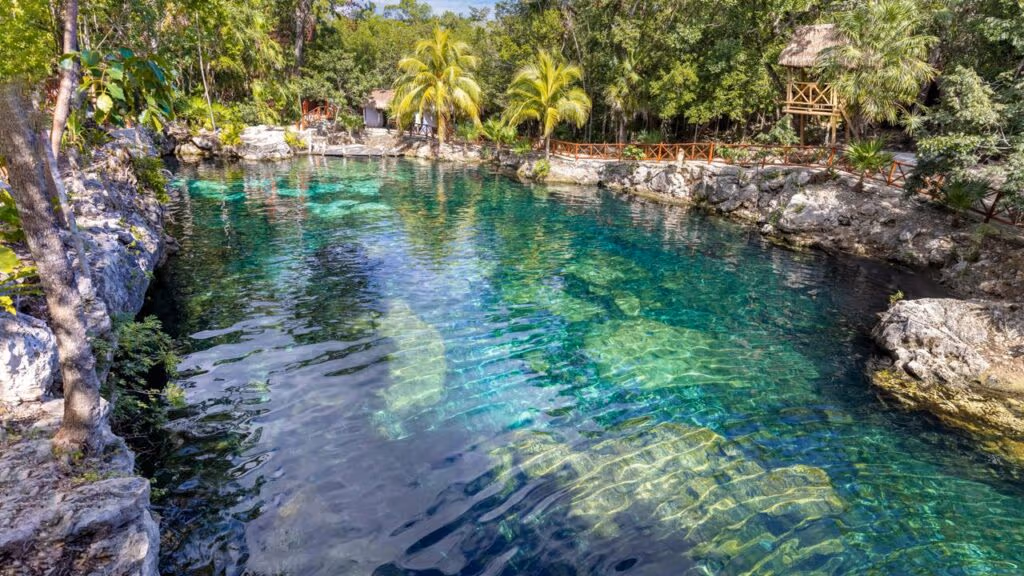 Ele levou 29 anos para transformar o quintal em uma piscina com 500 mil galões de água