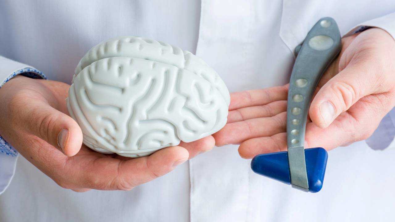 Neurocientista revela o truque cerebral que transforma conhecimento em vício