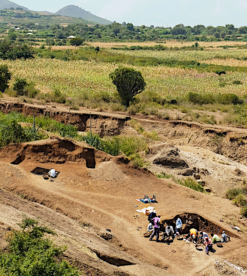 Ferramentas de 2,9 milhões de anos são encontradas no Quênia