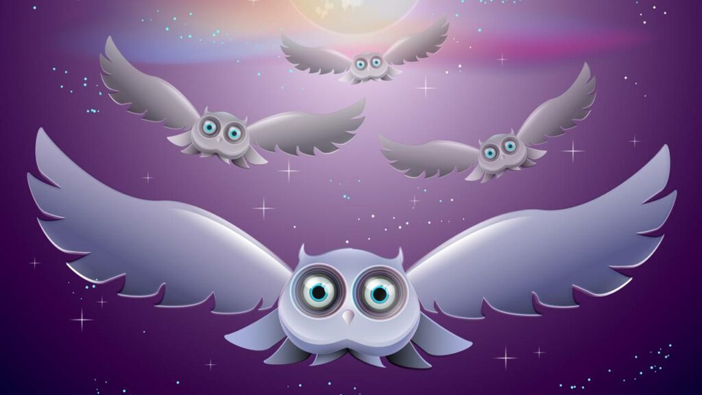 Ouvir pássaros cantando à noite pode NÃO ser só coincidência