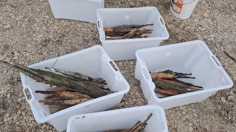 Tesouro de ferro de 2000 anos é encontrado sob o Rio Sava