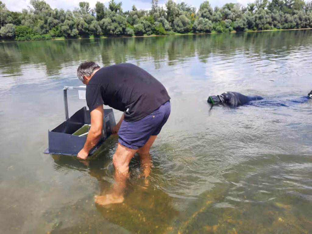Tesouro de ferro de 2000 anos é encontrado sob o Rio Sava