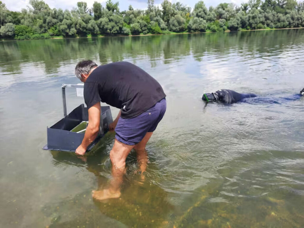 Tesouro de ferro de 2000 anos é encontrado sob o Rio Sava