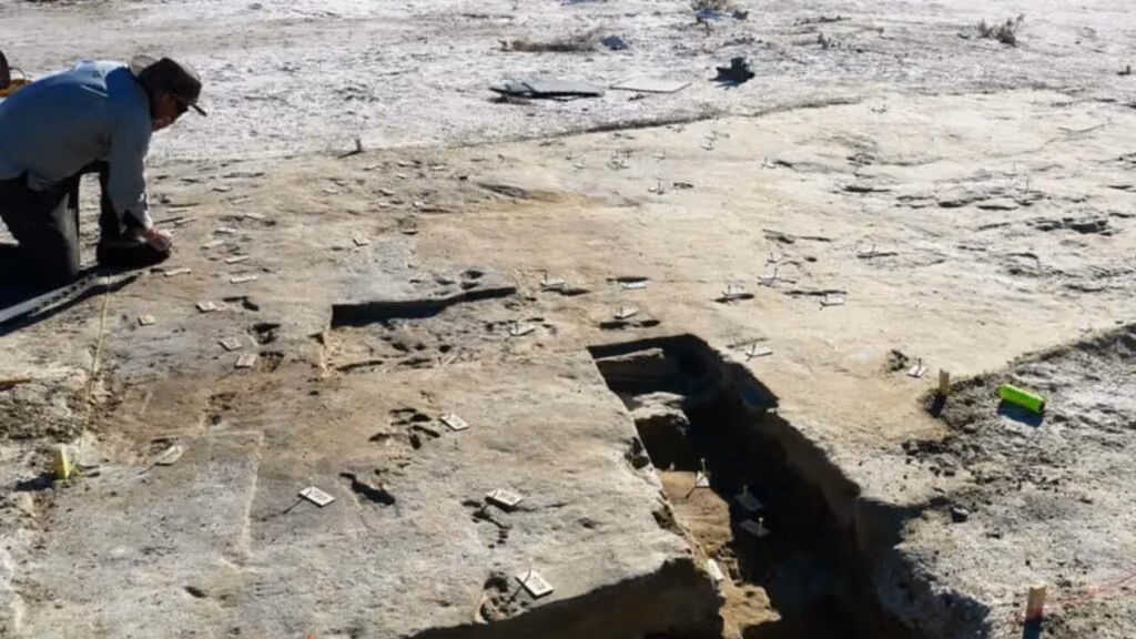 Pegadas de 23 mil anos revelam descobertas sobre a chegada do homem às Américas