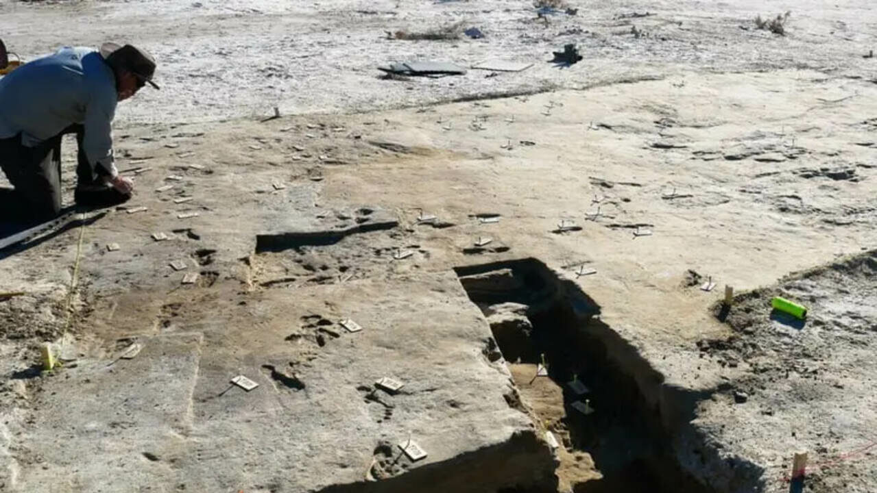 Pegadas de 23 mil anos revelam descobertas sobre a chegada do homem às Américas
