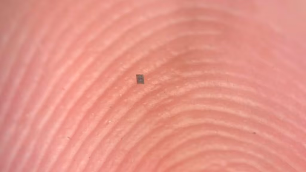 Cientistas criam robô menor que um grão de sal que anda e pensa sozinho