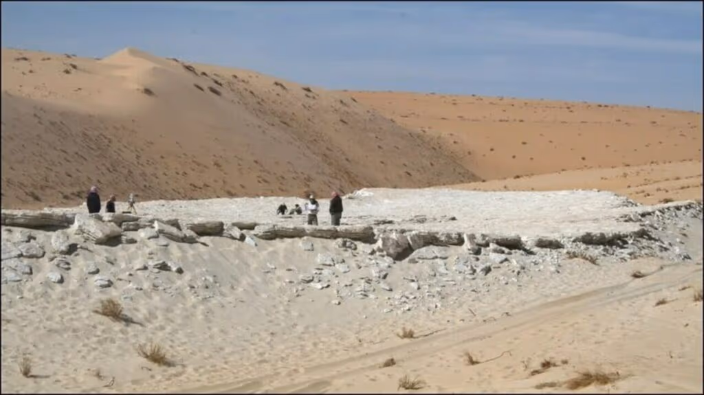 Pesquisadores descobrem pegadas humanas de 120 mil anos que mudam história da evolução