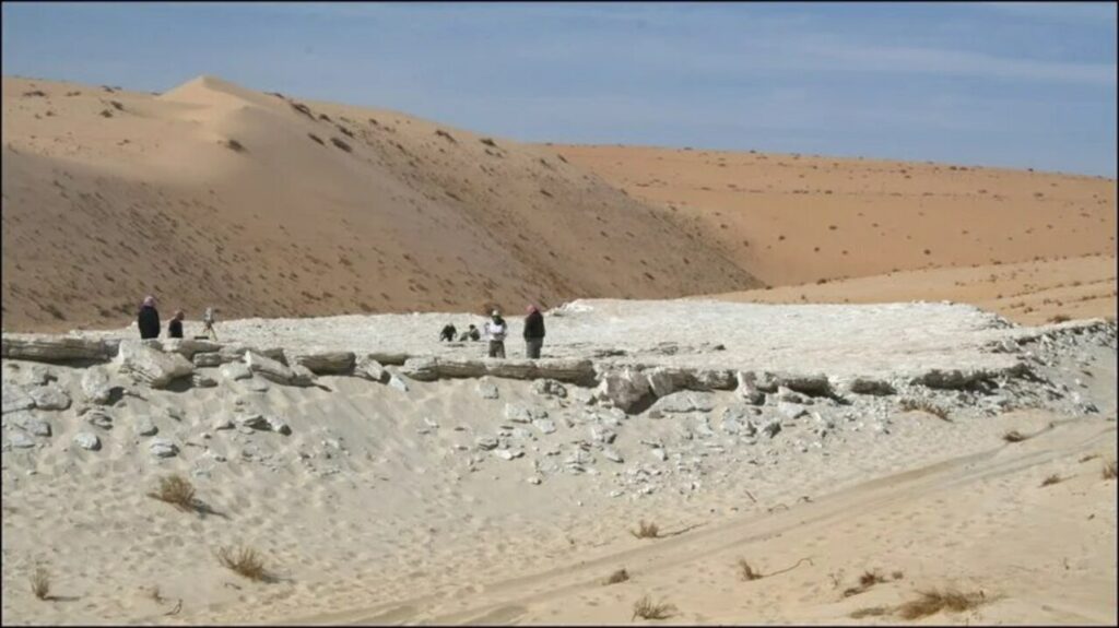 Pesquisadores descobrem pegadas humanas de 120 mil anos que mudam história da evolução