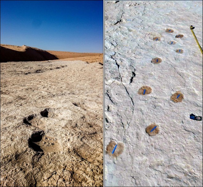 Pesquisadores descobrem pegadas humanas de 120 mil anos que mudam história da evolução