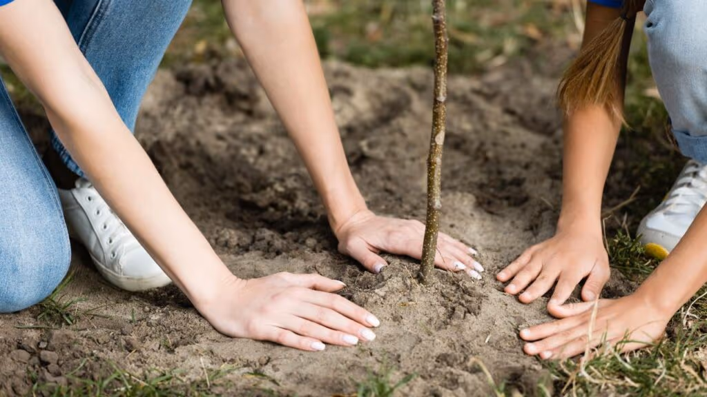 Plantaram árvores perto de um rio e o impossível aconteceu