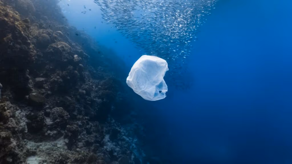 A barreira que segura 10 toneladas de plástico por mês nos rios e pode mudar o destino dos oceanos