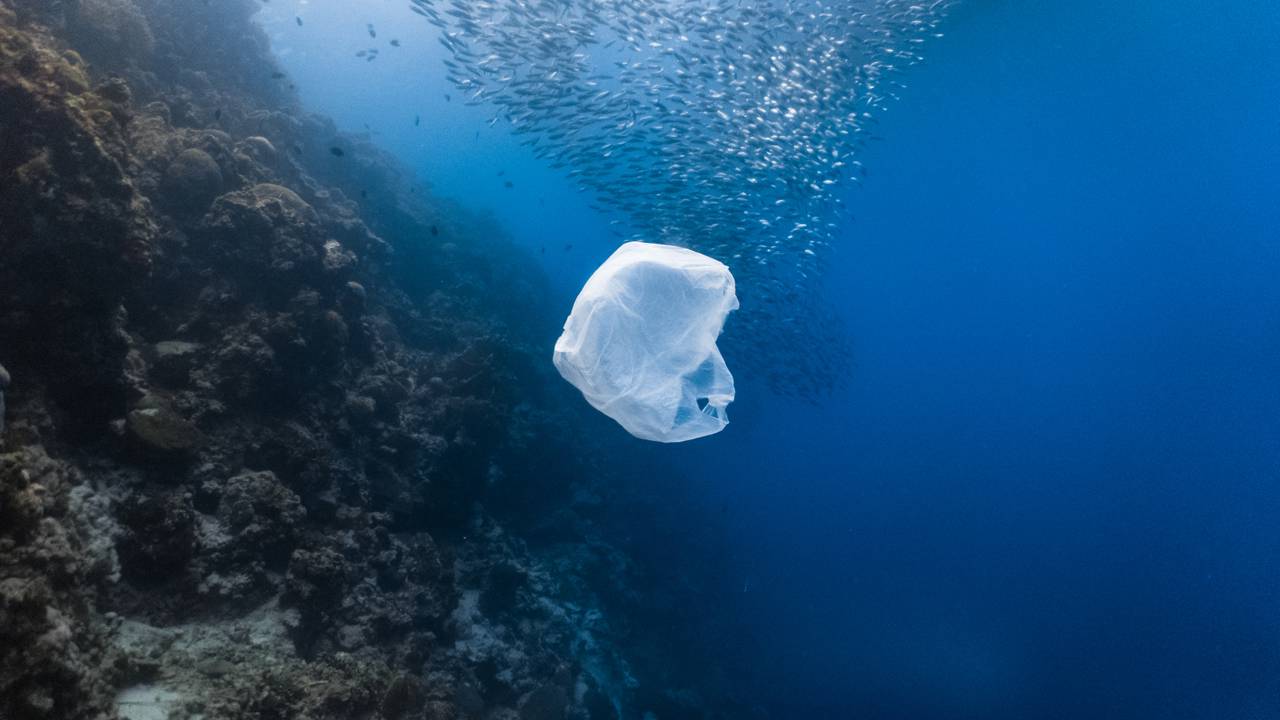 A barreira que segura 10 toneladas de plástico por mês nos rios e pode mudar o destino dos oceanos