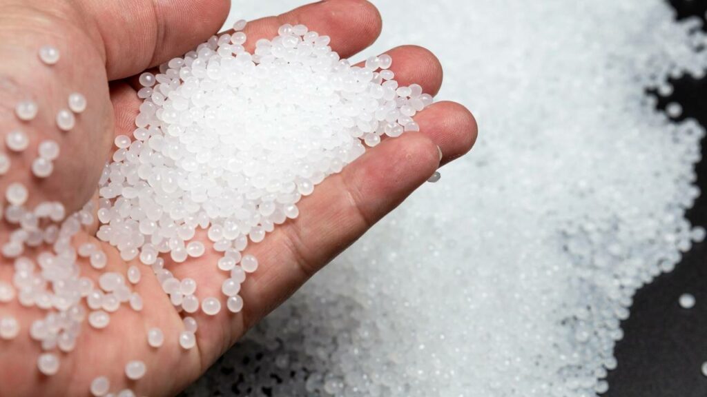 Esse fungo da Amazônia pode devorar plástico duro