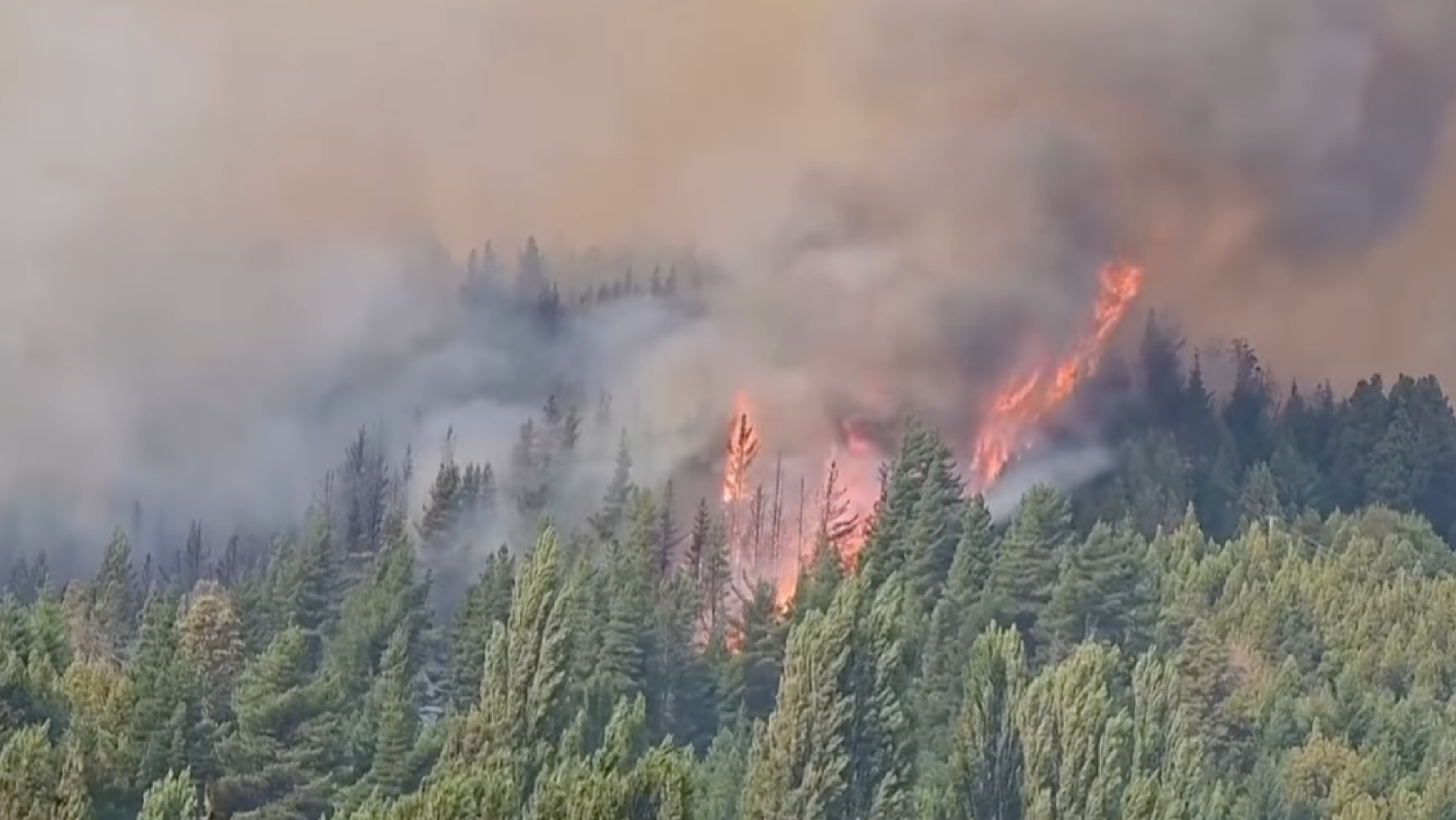 Clarita Maia na Crusoé: A esquerda latina se aproxima da ditadura argentina