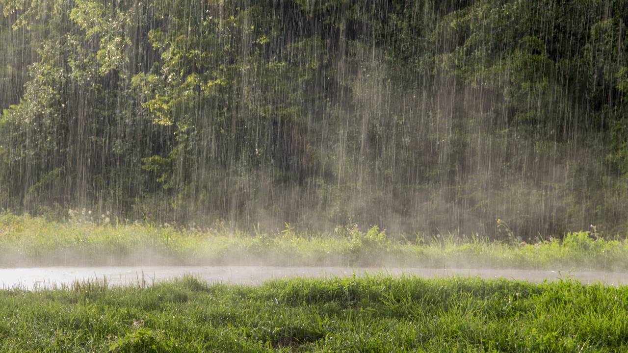 Por que o cheiro de chuva desperta boas lembranças e te deixa emotivo?