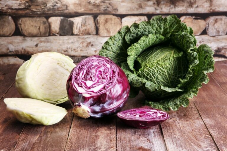 Repolho hype: hortaliça vira tendência gastronômica e ganha destaque em 2026