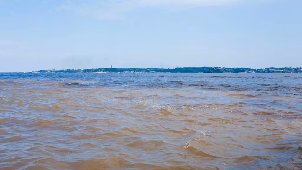 Avião cai no Rio Negro no Amazonas