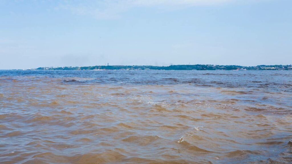 Avião cai no Rio Negro no Amazonas