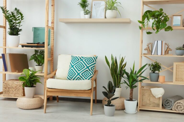 5 dicas para usar plantas na decoração da casa