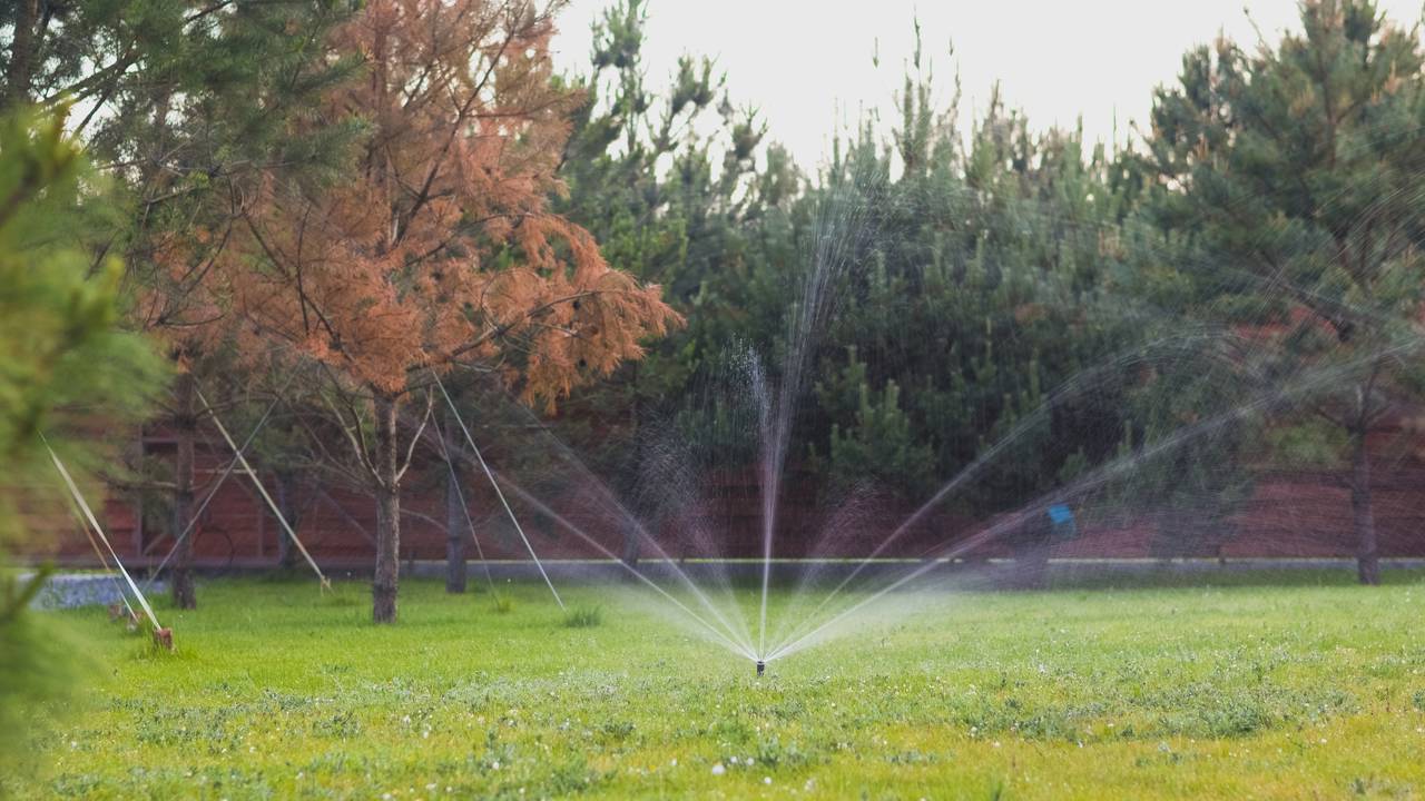 Garota de 14 anos cria um sistema de economia de água surpreendente