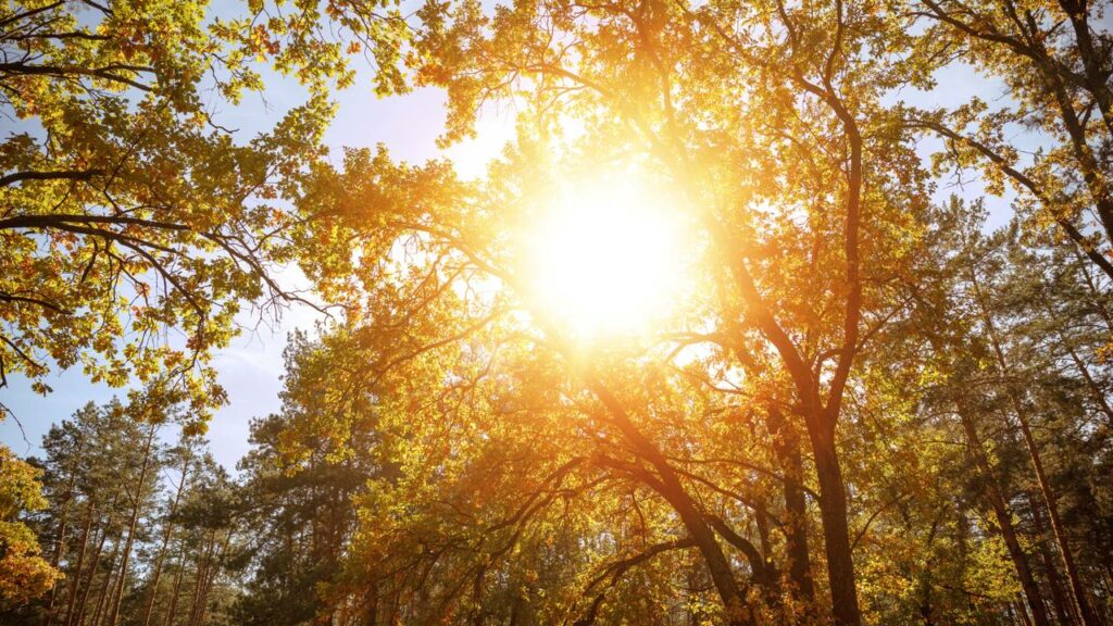 Cuidados devem ser tomados ao tomar sol - Créditos: depositphotos.com / AntonMatyukha