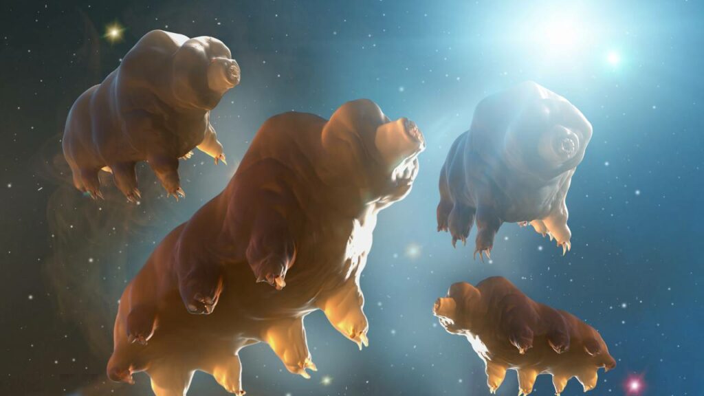 O animal que sobrevive ao espaço, à radiação e décadas sem água vive bem no seu quintal
