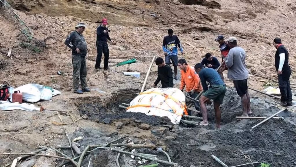 Tartaruga gigante do tamanho de um carro surge no Acre