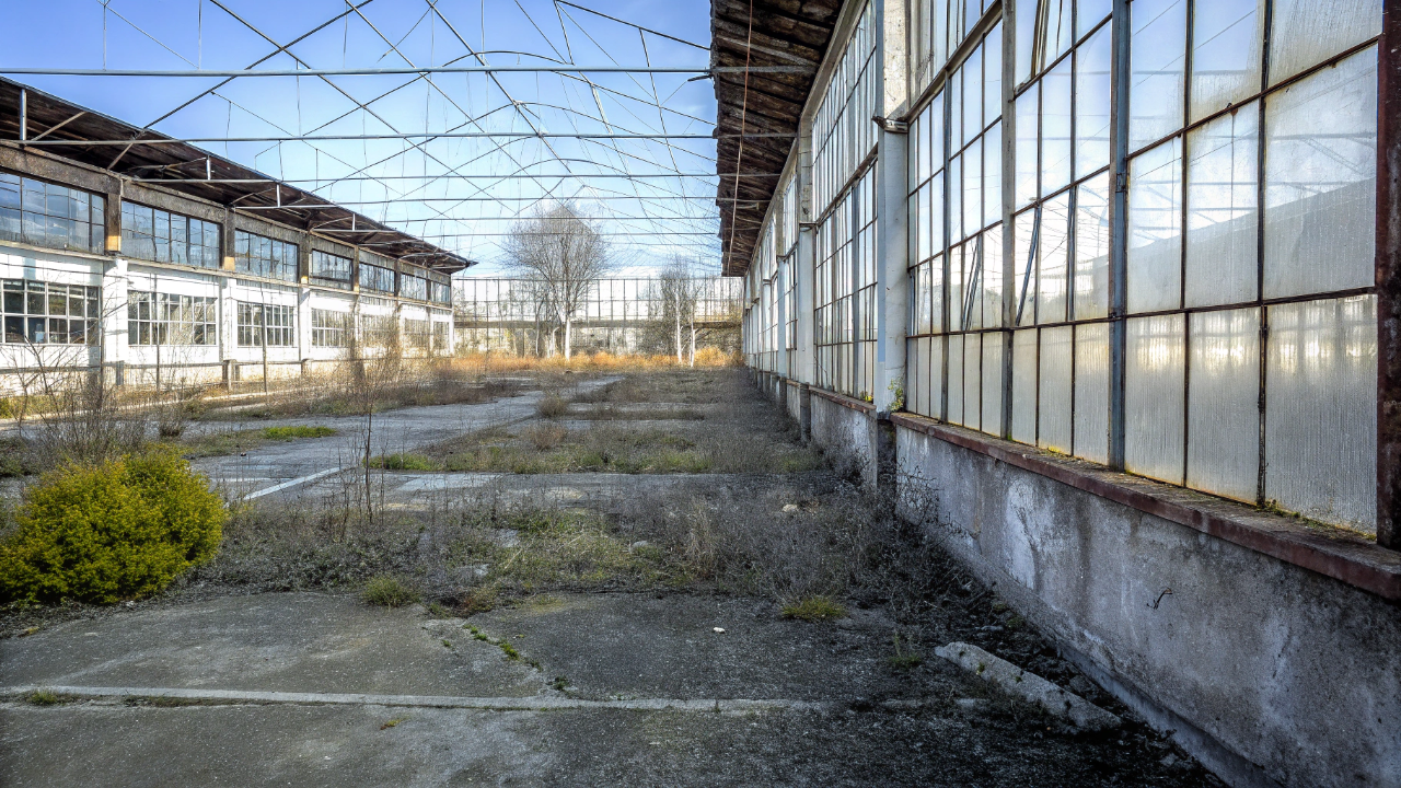 Ele apostou tudo que tinha nesse terreno e pode ter tirado a sorte grande