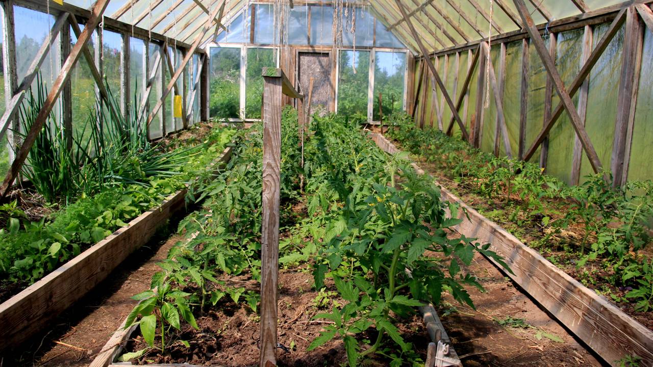 Família constrói casa autossuficiente e produz 90% da comida que consome