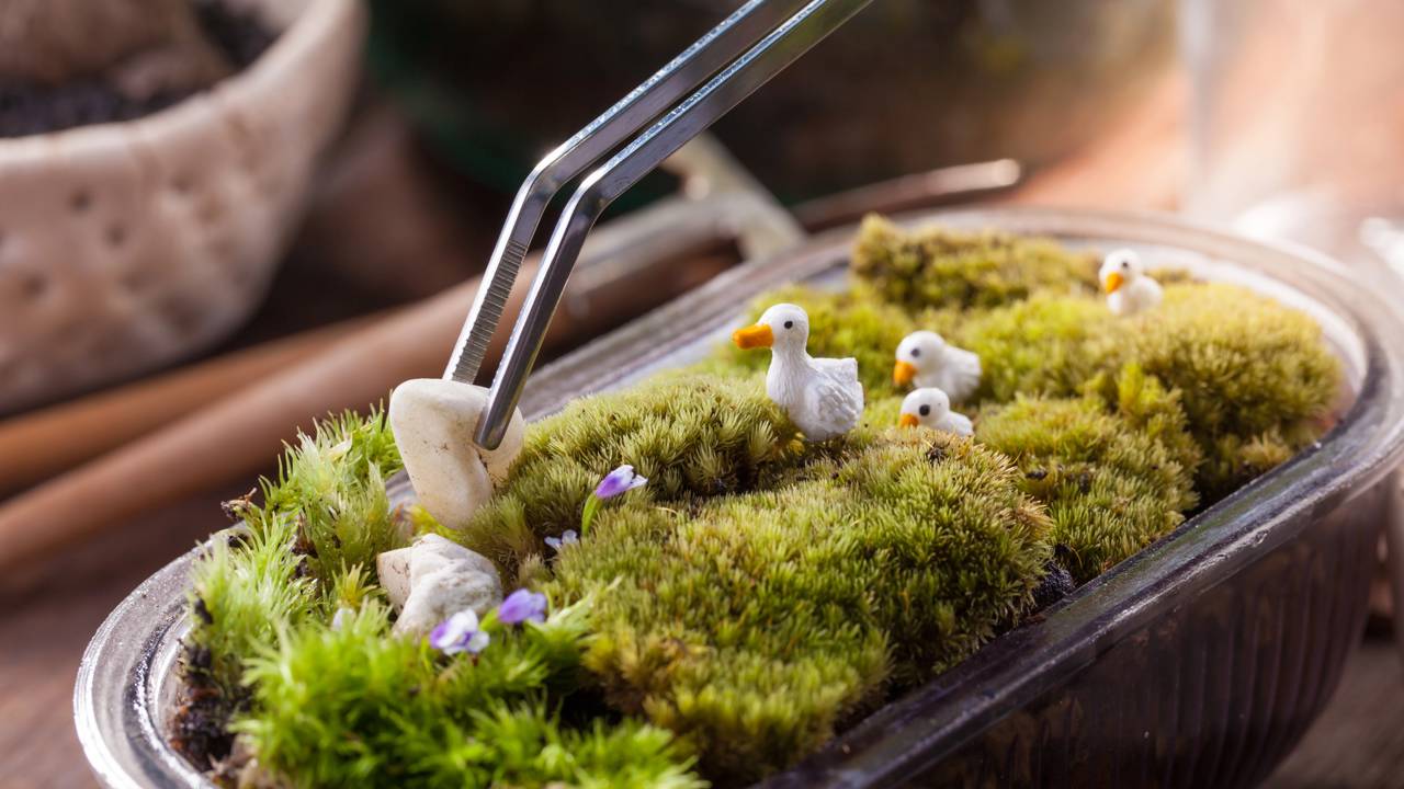 Essa caixa com plantas vivas e chuva contínua parece ter vida própria e clima real