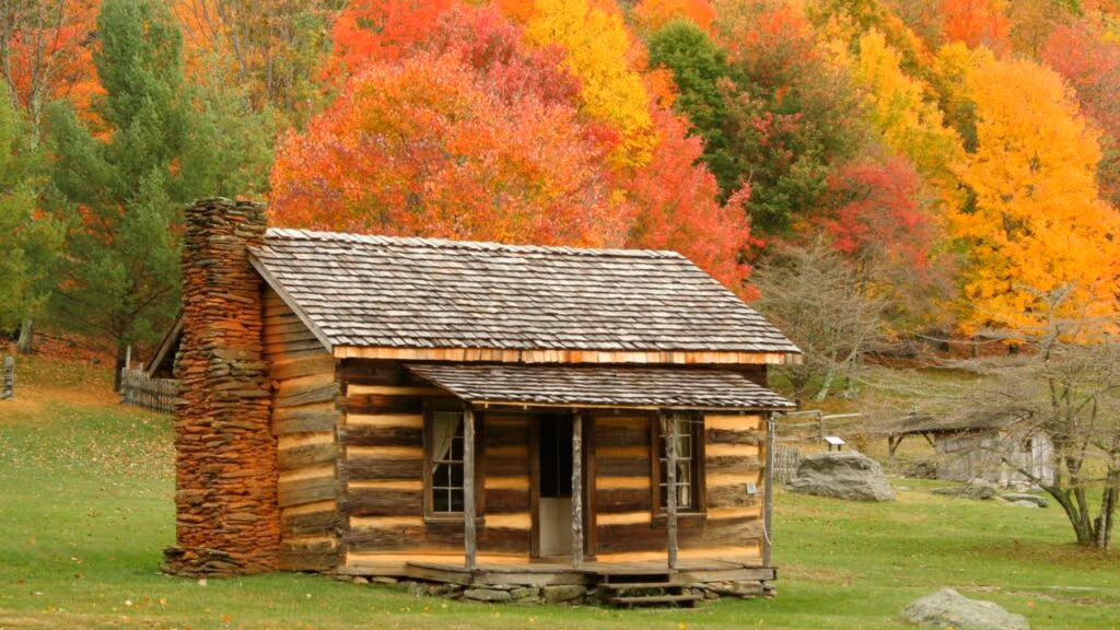 Homem constrói cabana de troncos na floresta e vive sem energia elétrica ou vizinhos chatos