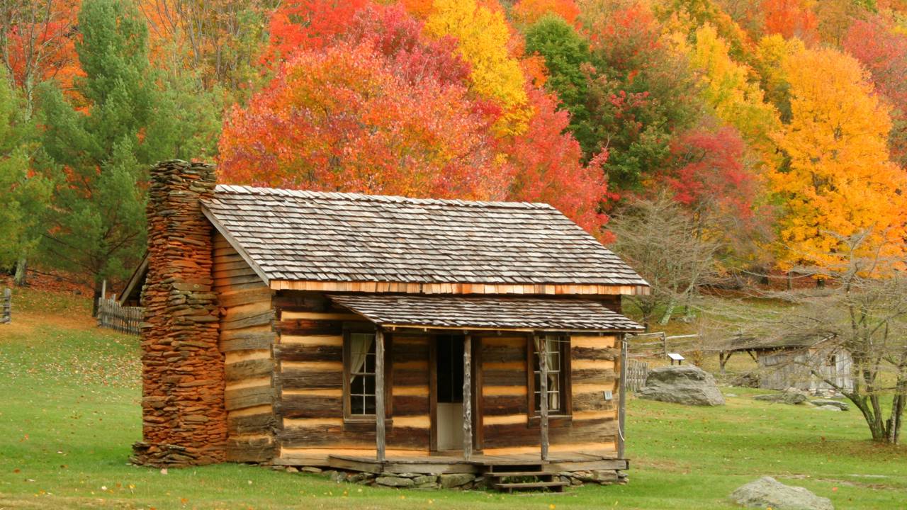 Homem constrói cabana de troncos na floresta e vive sem energia elétrica ou vizinhos chatos