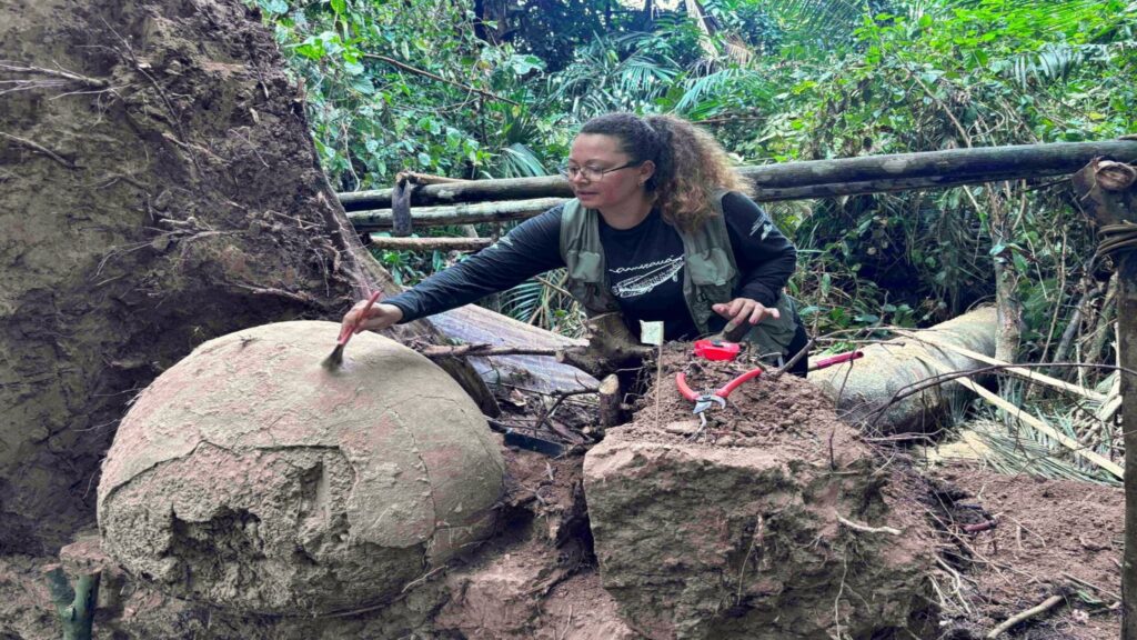 Árvore caída na Amazônia revela sete esferas que não deveriam estar ali..-redimensionado-para-2880x1620