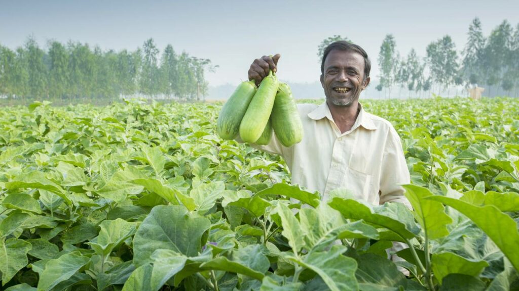 Os legumes mais perigosos do mundo que parecem inofensivos, mas podem causar sérios riscos à saúde
