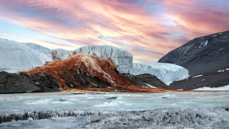 Imagem Item