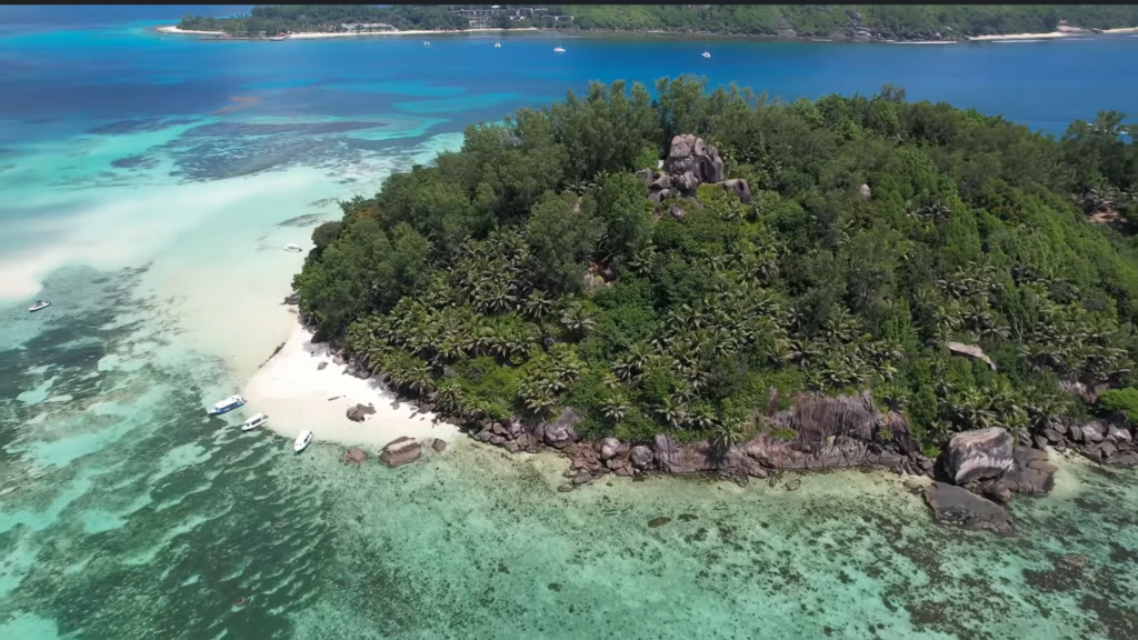 Moyenne, a ilha que poderia ser mansão de luxo e acabou virando o laboratório ecológico mais improvável do planeta